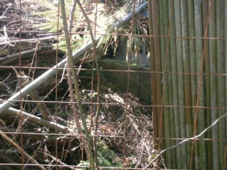 Lambertstr.2 53721 Siegburg Abfallbeseitigung finde ich nicht gut! siegburgnet